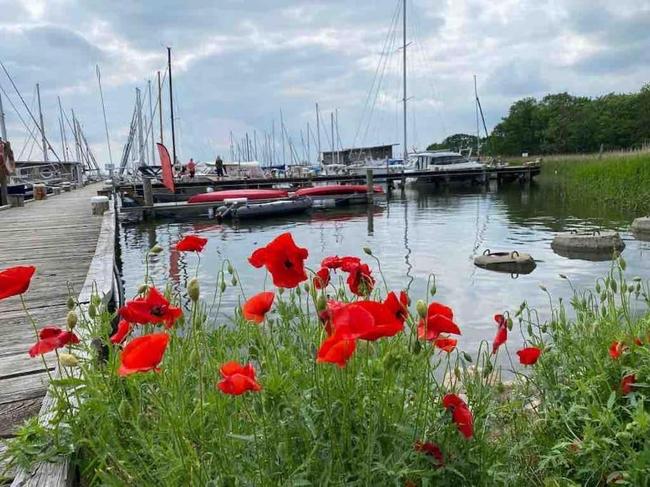 Ferienhaus Mit Wasserblick Auf Der Insel Usedom Krummin Εξωτερικό φωτογραφία